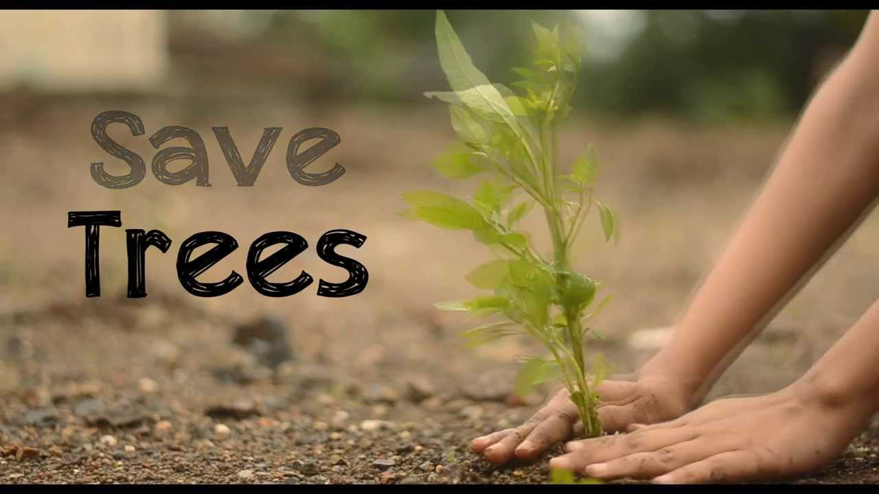 6 Methods Children Save Trees - GreenMetric Universitas Medan Area
